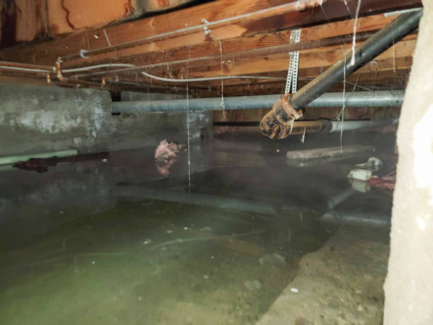 Best Residential water damage restoration  in Evansdale, IA